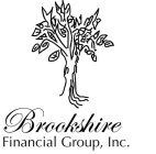 BROOKSHIRE FINANCIAL GROUP, INC.