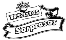 TESORITOS SORPRESAS