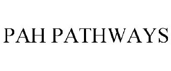 PAH PATHWAYS