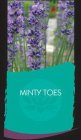 MINTY TOES