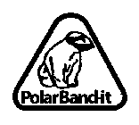 POLAR BAND-IT