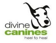 DIVINE CANINES HEEL TO HEAL