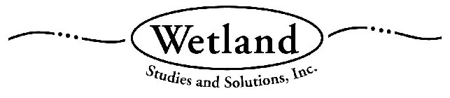 WETLAND STUDIES AND SOLUTIONS, INC.