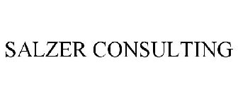 SALZER CONSULTING