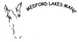 MEDFORD LAKES MANE