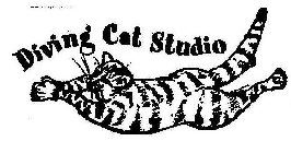 DIVING CAT STUDIO