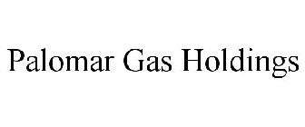 PALOMAR GAS HOLDINGS