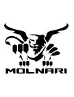 MOLNARI