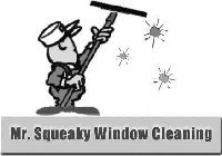 MR. SQUEAKY WINDOW CLEANING