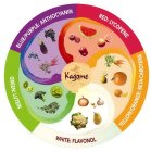 KAGOME BLUE/PURPLE: ANTHOCYANIN RED: LYCOPENE YELLOW/ORANGE: BETA-CAROTENE WHITE: FLAVONOL GREEN: LUTEIN