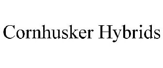 CORNHUSKER HYBRIDS
