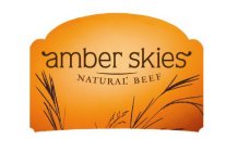 AMBER SKIES NATURAL BEEF