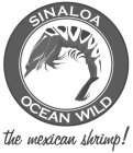 SINALOA OCEAN WILD THE MEXICAN SHRIMP!