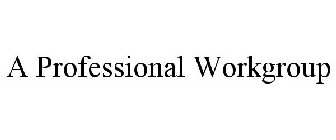 A PROFESSIONAL WORKGROUP