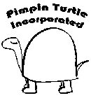 PIMPIN TURTLE INCORPORATED