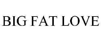 BIG FAT LOVE