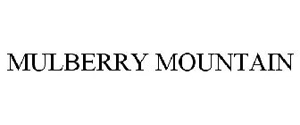 MULBERRY MOUNTAIN