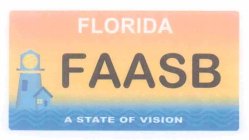 FLORIDA FAASB A STATE OF VISION
