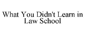 WHAT YOU DIDN'T LEARN IN LAW SCHOOL
