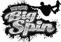TONY HAWK'S BIG SPIN