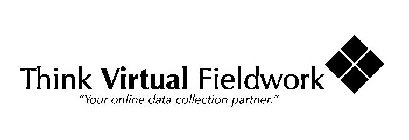 THINK VIRTUAL FIELDWORK 