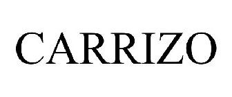 Image for trademark with serial number 77124217