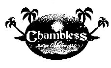 CHAMBLESS WATER COMPANY LLC