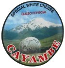 CAYAMBE SPECIAL WHITE CHEESE QUESO ESPECIAL