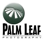 PALM LEAF PHOTOGRAPHY