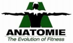 A ANATOMIE THE EVOLUTION OF FITNESS
