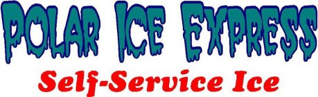 POLAR ICE EXPRESS SELF-SERVICE ICE