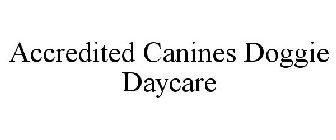 ACCREDITED CANINES DOGGIE DAYCARE