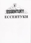 ESSENTUKY ECCEHTYKH