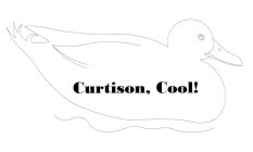 CURTISON, COOL!
