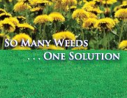 SO MANY WEEDS . . . ONE SOLUTION