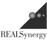 REALSYNERGY