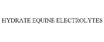 HYDRATE EQUINE ELECTROLYTES