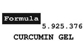 FORMULA 5 . 925 . 376 CURCUMIN GEL
