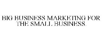 BIG BUSINESS MARKETING FOR THE SMALL BUSINESS.