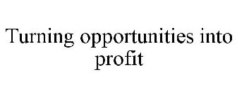 TURNING OPPORTUNITIES INTO PROFIT