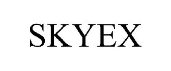 SKYEX