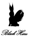 BLACK HARE