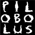 PILOBOLUS