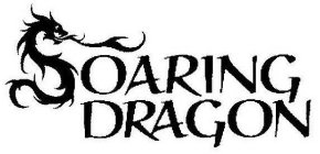 SOARING DRAGON