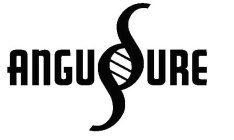 ANGUSURE