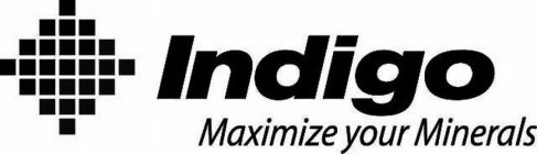 INDIGO MAXIMIZE YOUR MINERALS