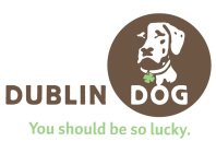 DUBLIN DOG YOU SHOULD BE SO LUCKY.