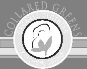 COLLARED GREENS ORGANIC CLOTHING KETCHUM, IDAHO