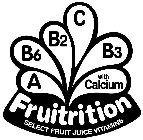 FRUITRITION SELECT FRUIT JUICE VITAMINS A B6 B2 C B3 WITH CALCIUM