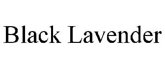 BLACK LAVENDER